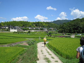 北・山の辺の道