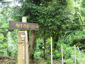 滝坂の道入口