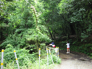 滝坂の道入口