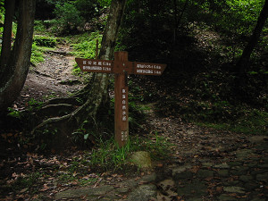 東海自然歩道の道標