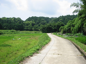 あぜ道