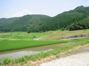 田園風景