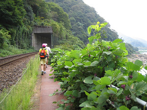 木津川とＪＲ線に挟まれた狭い道